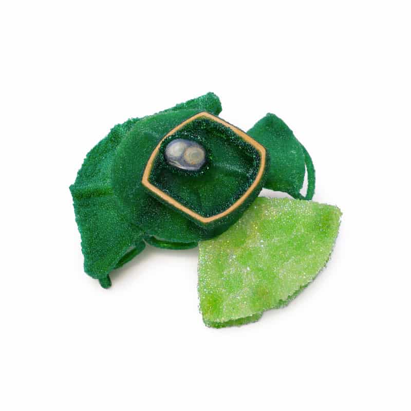 Contemporary Jewelry Andrea Wagner Montreal Galerie Noel Guyomarc'h